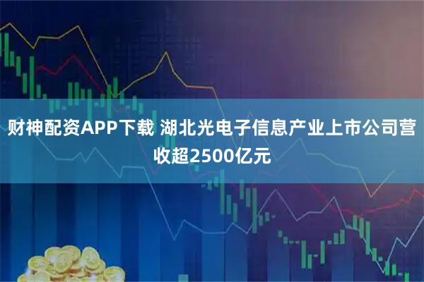 財神配資APP下載 湖北光電子信息產業上市公司營收超2500億元